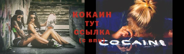 ГАЛЛЮЦИНОГЕННЫЕ ГРИБЫ Аркадак