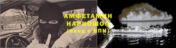 ГАЛЛЮЦИНОГЕННЫЕ ГРИБЫ Аркадак