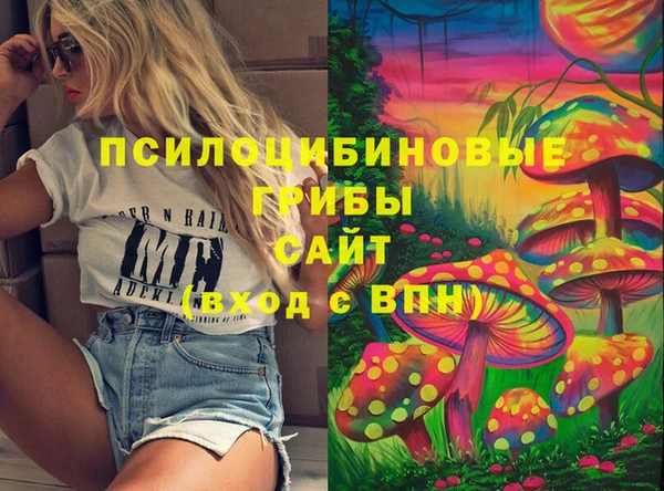 экстази Арсеньев