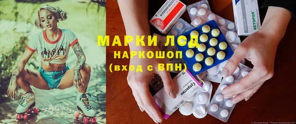 ГАЛЛЮЦИНОГЕННЫЕ ГРИБЫ Аркадак