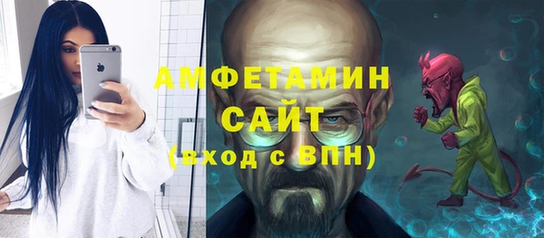 ГАЛЛЮЦИНОГЕННЫЕ ГРИБЫ Аркадак