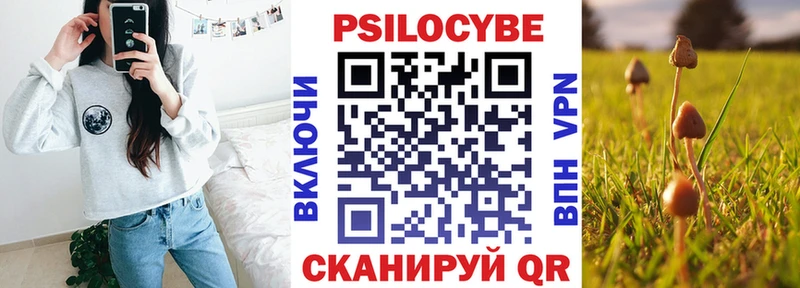 Купить где Мосальск Галлюциногенные грибы Cubensis